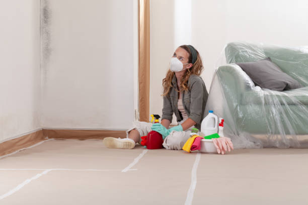 Reliable Mold Removal contractor in Augusta, GA by WQB Mold Removal